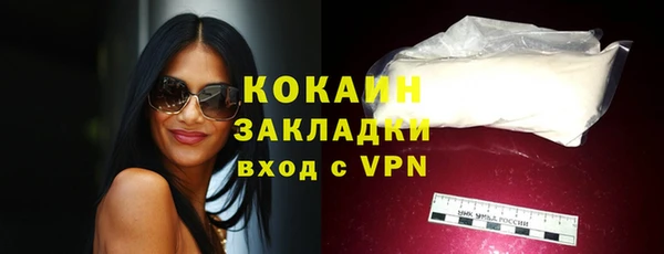 apvp Богданович