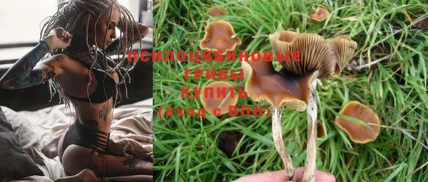 ГАЛЛЮЦИНОГЕННЫЕ ГРИБЫ Богородицк