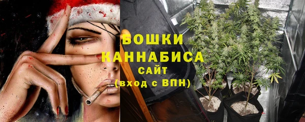 гашик Бородино