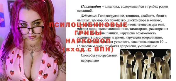 стаф Богородск