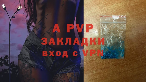 стаф Богородск