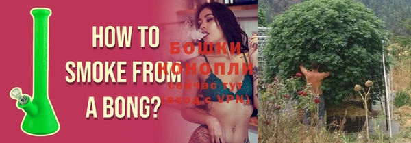 ГАЛЛЮЦИНОГЕННЫЕ ГРИБЫ Богородицк