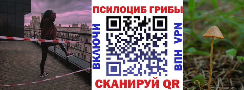Галлюциногенные грибы Psilocybine cubensis  сайты даркнета телеграм  Горно-Алтайск 